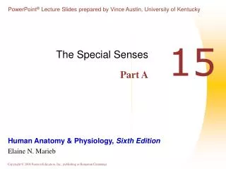 The Special Senses Part A