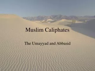 muslim caliphates
