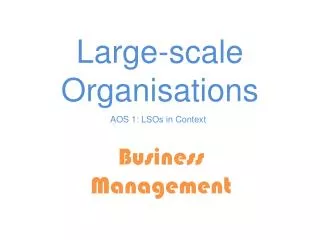 Large- scale Organisations