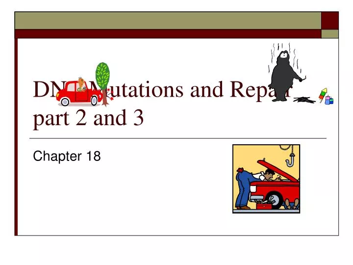 dna mutations and repair part 2 and 3