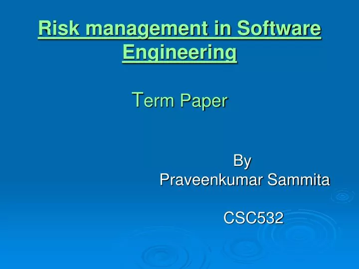 risk management in software engineering t erm paper