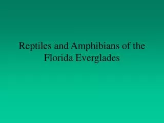Reptiles and Amphibians of the Florida Everglades