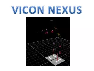 VICON NEXUS