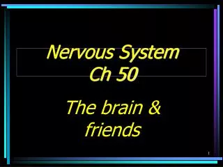 Nervous System Ch 50