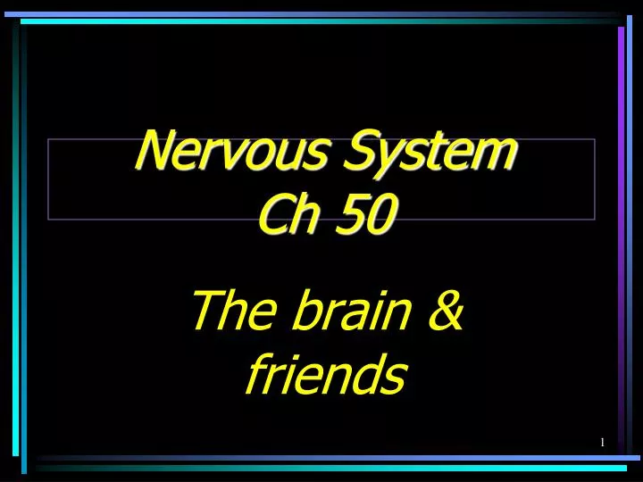 nervous system ch 50