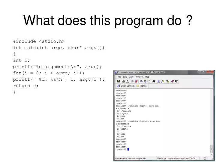 what does this program do