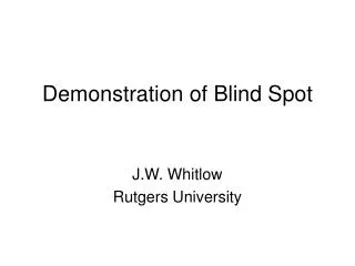 Demonstration of Blind Spot