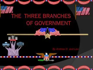 The Three Branches of Government