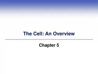 The Cell: An Overview