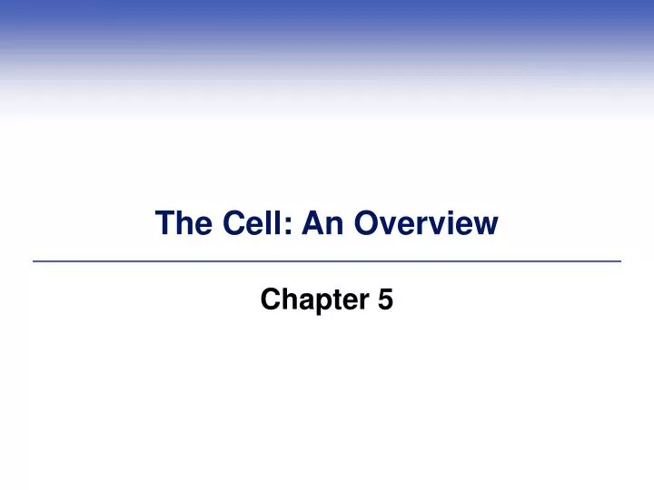 the cell an overview