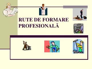 rute de formare profesional