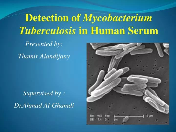 detection of mycobacterium tuberculosis in human serum