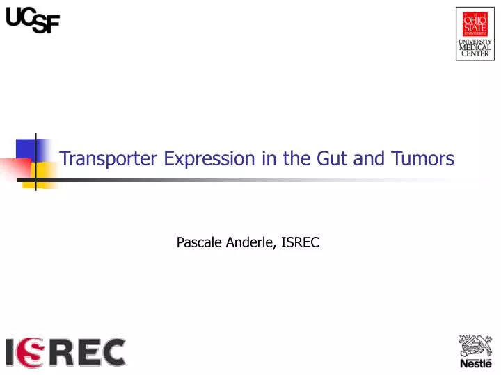 transporter expression in the gut and tumors