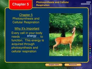 Chapter 5 Photosynthesis and Cellular Respiration