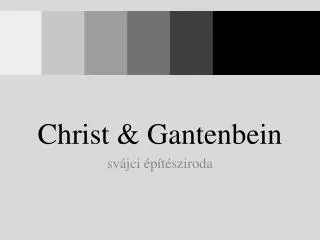 christ gantenbein