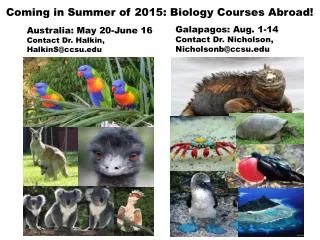 Galapagos: Aug. 1-14 Contact Dr. Nicholson, Nicholsonb@ccsu