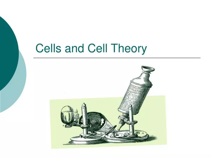 cells and cell theory