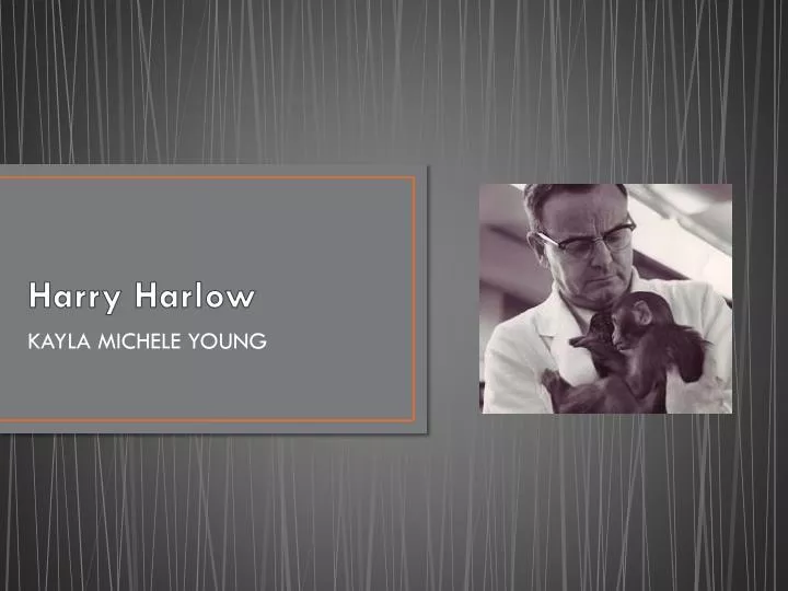 harry harlow