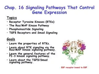 Chap. 16 Signaling Pathways That Control Gene Expression