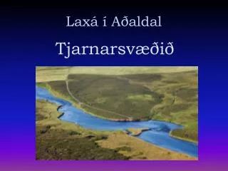 lax a aldal