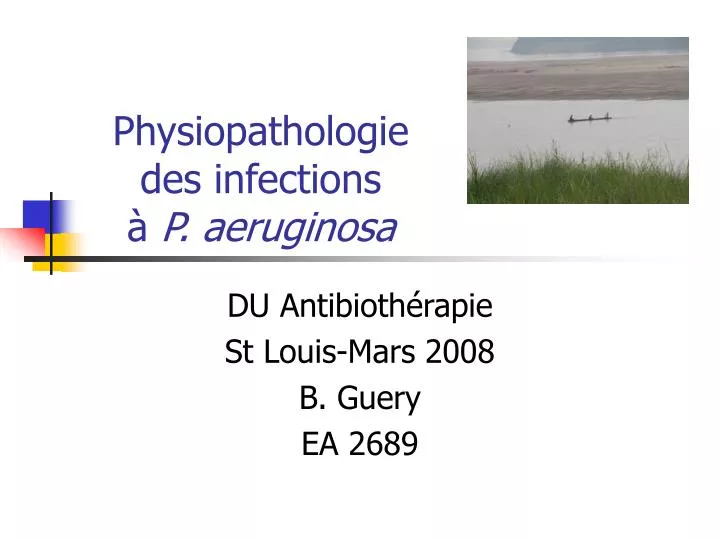 physiopathologie des infections p aeruginosa