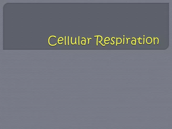 cellular respiration