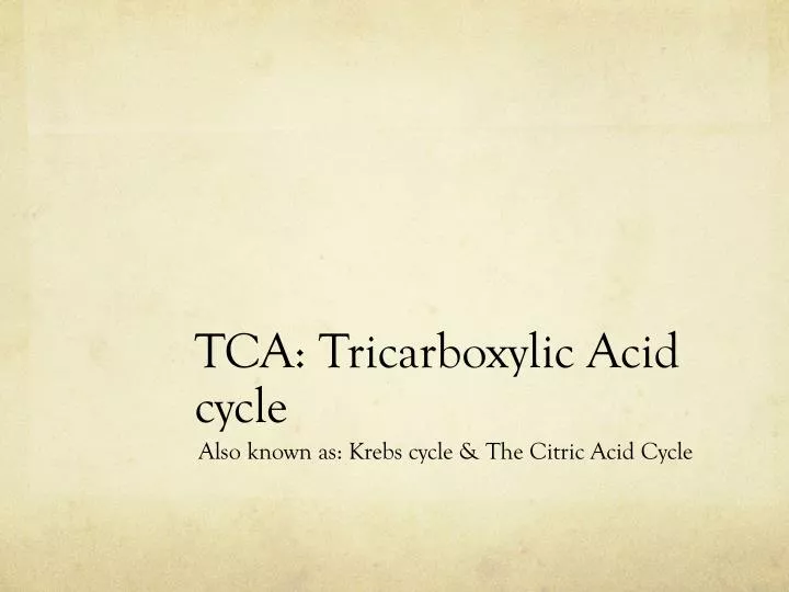 tca tricarboxylic acid cycle