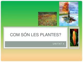 com s n les plantes