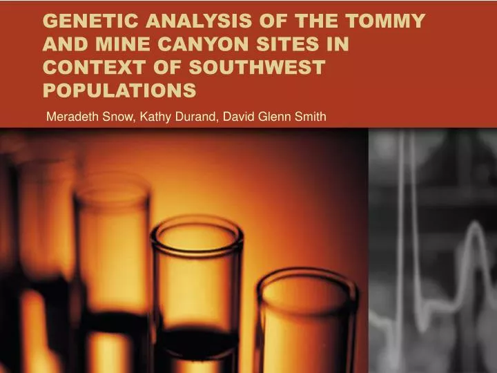 genetic analysis of the tommy and mine canyon sites in context of southwest populations