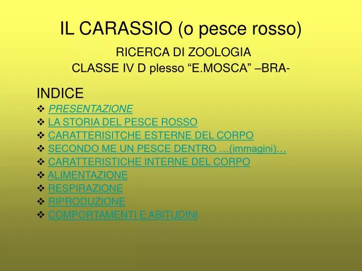 il carassio o pesce rosso ricerca di zoologia classe iv d plesso e mosca bra