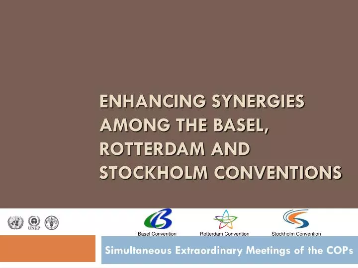 enhancing synergies among the basel rotterdam and stockholm conventions