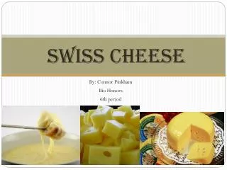 Swiss Cheese