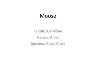 Moose