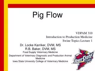 Pig Flow