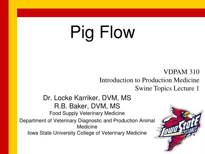 pig flow
