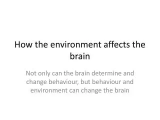 How the environment affects the brain