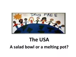 The USA A salad bowl or a melting pot?