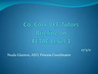 Co. Cork VEC Tutors Briefing on FETAC Level 3
