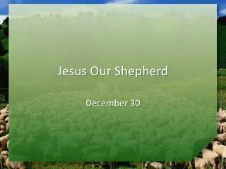 Jesus Our Shepherd