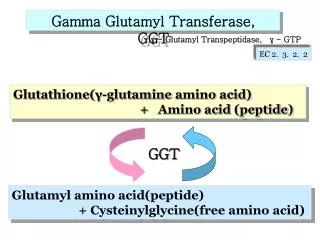 Glutathione(?-glutamine amino acid)