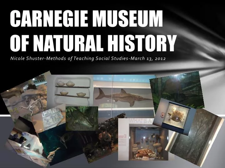 carnegie museum of natural history