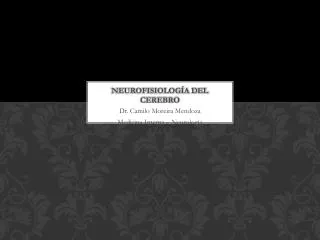 neurofisiolog a del cerebro