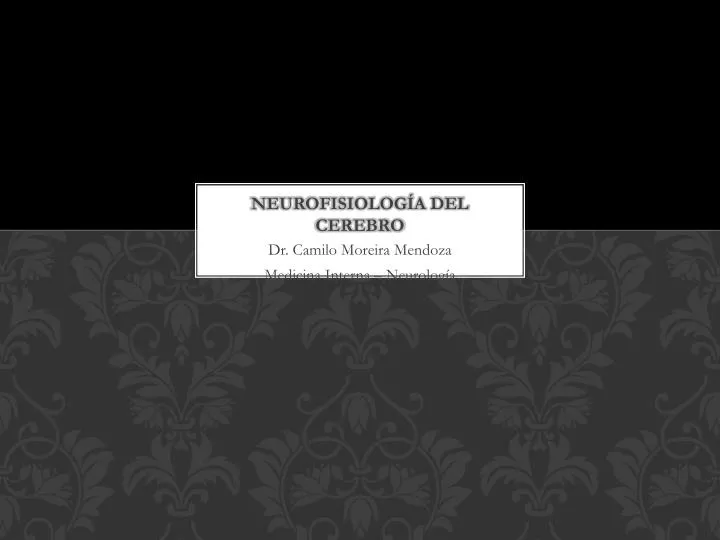 neurofisiolog a del cerebro