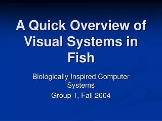 A Quick Overview of Visual Systems in Fish