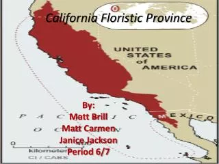 California Floristic Province