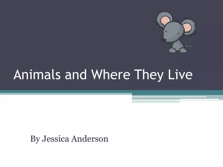 animals and where they live