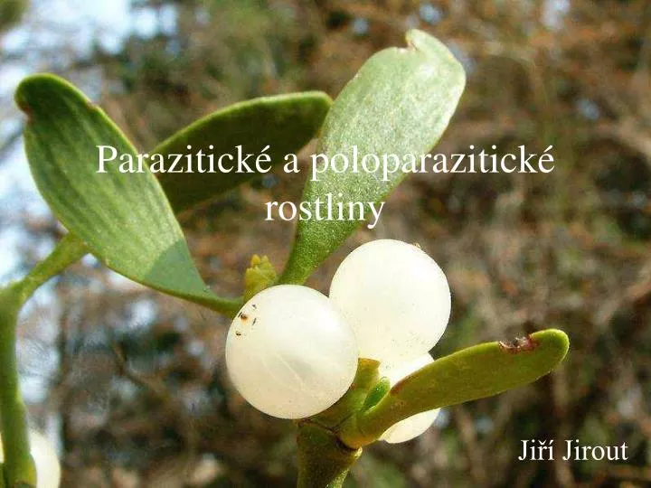 parazitick a poloparazitick rostliny