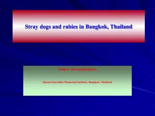 Stray dogs and rabies in Bangkok, Thailand