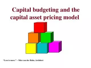 Capital budgeting and the capital asset pricing model