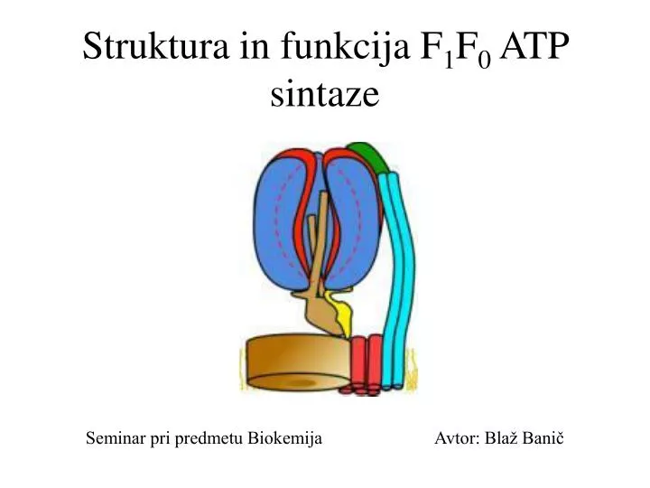 struktura in funkcija f 1 f 0 atp sintaze